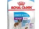royal canin Puppy/Junior Dry Dog Food Giant Active 8 – 18/24 Mesi (> 45KG) 15 kg
