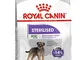 sterilised Royal Canin Mini 1 kg crocchette per Cani sterilizzati e in sovrappeso