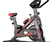 NXLWXN Spinning Aerobico Esercizio Bici Indoor Training Fitness Cardio Spin Bike Ciclismo...