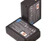DSTE 2-Pacco Ricambio Batteria per Samsung BP-1030 NX200 NX210 NX300 NX300M NX500 NX1000 N...