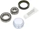 FAG 713667820 Wheel Bearing Kit