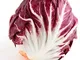 GEOPONICS SEED Cavolo Rosso - Radicchio di Treviso Vegetable Seeds italiana dei semi (10 p...