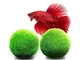 Luffy Medio Marimo Palle di Muschio, Decorazione Dell'acquario, Regalo Di Cimelio, Amato D...