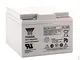 Yuasa - Batteria AGM YUASA NPL24-12IFR 12V 24Ah M5-F