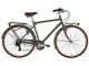 City bike VELVET Alpina da uomo, cambio a 7 velocità, 28" e telaio in alluminio 55 cm Verd...