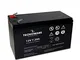 Tecnoware Batteria Ermetica al Piombo 12 V Capacità 7 Ah - per UPS, Sistemi di Videosorveg...