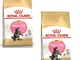 Royal Canin Maine Coon Kitten | Confezione Doppia | 2 x 400 g | Cibo secco per gatti | Spe...