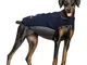 IREENUO Cappotto Impermeabile Cane - Cappottino Cane Invernale Taglia Media Grande Con Str...