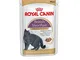 Royal Canin - Poodle Adult Bustina 85,00 gr
