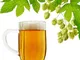 Wuwxiuzhzhuo 120 pz Humulus Iupulus Plantation Hop semi, per fare la birra casa giardino p...