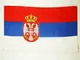 AZ FLAG Bandiera Serbia 90x60cm - Bandiera SERBA 60 x 90 cm
