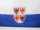 AZ FLAG Bandiera Trentino-Alto Adige 150x90cm - Bandiera TRENTINA - REGIONE Italia 90 x 15...