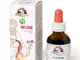 Erbenobili Influvin con echinacea - 50 Ml