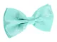 Papillon Verde Tiffany