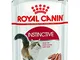 Royal gatto kitten pate 85gr