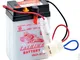 Tashima - Batteria moto 6N2A-2C-3 6V 2Ah - 6N2A 2C 3;6N2A-2C-3