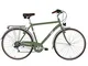 Alpina Bike Roxy, Bicicletta Trekking 6v Uomo, Verde Canna, 28 telaio:500mm