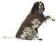 Croci Montreal - Cappotto per cani, Mantello invernale, Giacca impermeabile, Taglia 30 cm,...