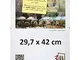 3B Set di 3 Pezzi Cornici a Giorno Clip 29,7x42 cm (A3) - Portafoto Senza Cornice con Vetr...