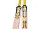 CW cricket World Junior Genuine Premium Quality Perfect gomma/tennis Ball Kashmir Willow m...