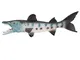 Modello di pesce, modello di pesce finto artificiale realistico Modello di Wolffish marino...
