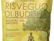 Erbavoglio Risveglio di Buddha Proteine del Mattino - 360 g