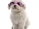 Rejoicing, occhialini da sole protettivi per cani, a forma di cuore, anti-UV, impermeabili...