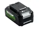 Greenworks Batteria 24V 4Ah - Potente Batteria per Tutti gli Attrezzi da Giardino 24V, Bat...