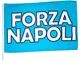 Bandiera Napoli Calcio Grande Tinta Unita Azzurra Scritta Forza Napoli 3 Scudetti 1,5 metr...