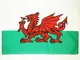 AZ FLAG Bandiera Galles 150x90cm - Gran Bandiera Gallese 90 x 150 cm Poliestere Leggero -...