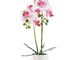 ENCOFT Fiori Artificiali di Orchidea con Vaso Decorative Pianti per Casa 30x12 x 12 (Rosa...