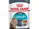 royal canin BOCCONCINI Gatti Urinary Care, 85g