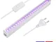 Lampada UV 6W T5 LED, Luce Nera UVA 395nm, Lampada Raggi UV Tubolare con Interruttore e Ca...