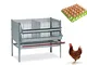 Gabbia per galline ovaiole con 2 scomparti, ideale per 4 / 6 galline, cm.80 completa di ma...