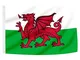 5x3Piedi Bandiera Galles, Bandiera Galles con 2 Occhielli in Metallo, Bandiera Gallese in...