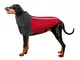 SlowTon Cappotto per Cani,Fodera in Caldo Pile Polare Collo alto Sciarpa Giacca invernale...