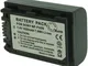 Otech Batteria Compatibile per Sony HDR-CX550