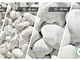 VIALCA Sassi Ciottoli Pietre Bianco Carrara Decorativi Giardino - 25kg Varie Misure (40-60...