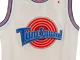 Taz tune squad space jam sports movie basketball jersey looney for Adult Standard US Size...
