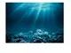 Acquario Sfondo 3D Adesivo Decorazione Serbatoio da Pesca Parete Pittura PVC - XS