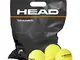 Head Trainer, 72B Palline Tennis Unisex Adulto, Yellow, Taglia unica