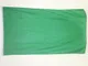AZ FLAG Bandiera Monocolore Verde 150x90cm - Bandiera Verde 90 x 150 cm