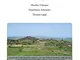 Cityscapes of Hellenistic Sicily. Proceedings of a Conference of the Excellence Cluster To...