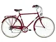 Alpina Bike Condor, Bicicletta da Città Uomo, Rosso, 28