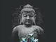 BUDDISTI TIBETANI: Emblemi Spirituali