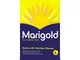 Marigold, guanti da cucina super resistenti, confezione (L) da 6