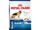 Royal Canin Maxi Adult 5 + Dogs food 15 kg