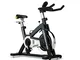 FQCD Indoor Cycling Bike casa silenziosa Cyclette Fitness Equipment 13Kg Chrome volano Mul...
