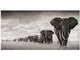 HSFFBHFBH Quadro su Tela Black Africa Elefanti Animali Selvaggi Scandinavia Poster e Stamp...