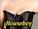 Houseboy Humiliation (House Husband Book 16) (English Edition)